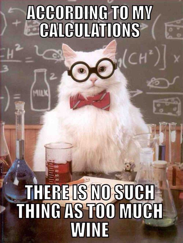 According To My Calculations Wine Memes