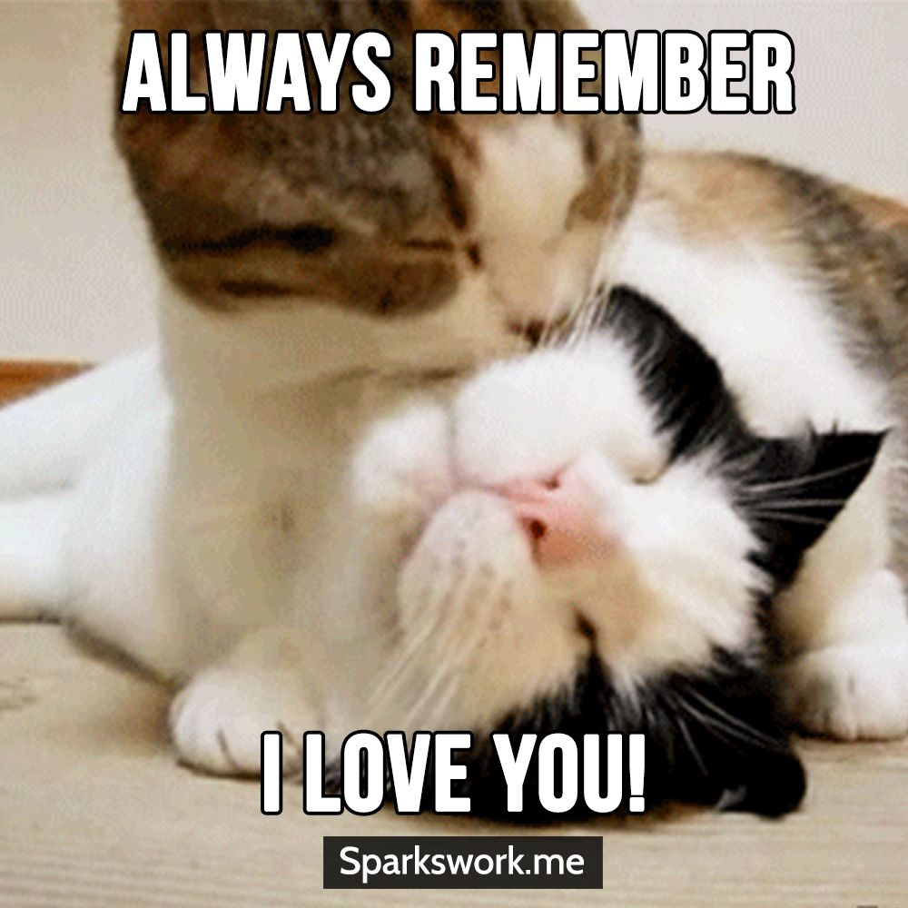Always Remember I Love I Love You Meme Always Remember I Love I Love You Meme