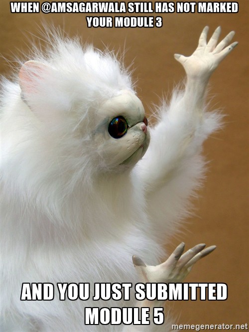 And You Just Submitted Cat Meme And You Just Submitted Cat Meme