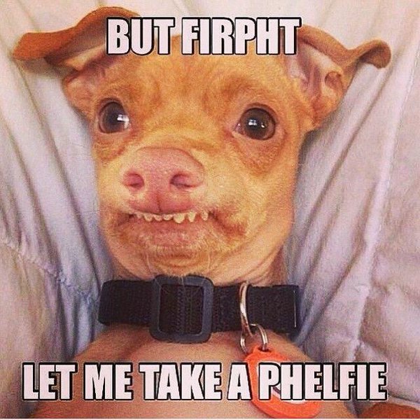 But Firpht Let Me Dog Meme But Firpht Let Me Dog Meme