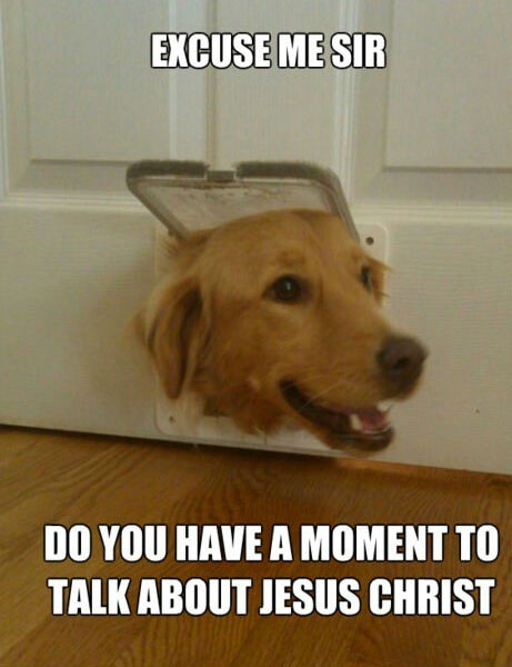 Do You Have A Dog Meme Do You Have A Dog Meme