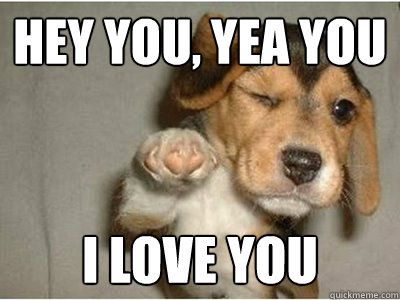 Hey You Yea You I Love You Meme Hey You Yea You I Love You Meme