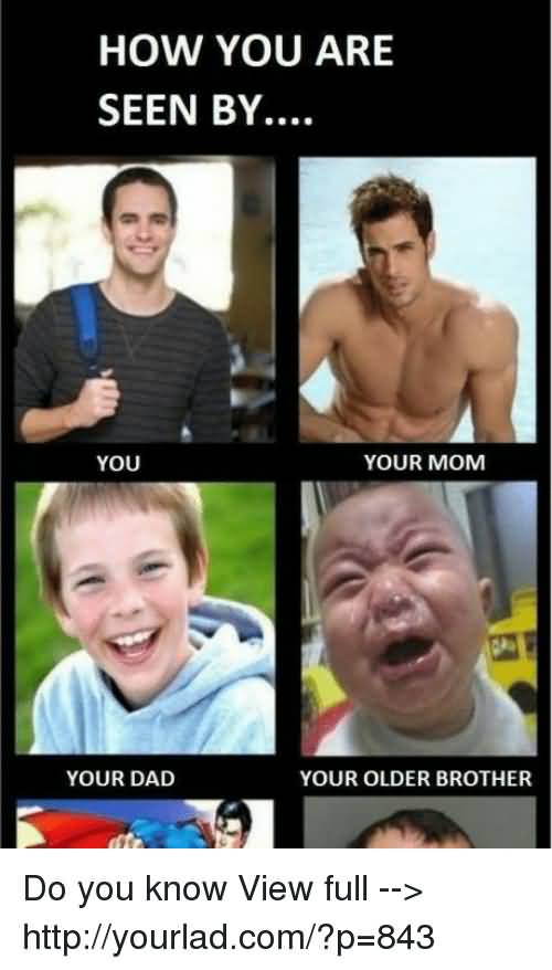 How You Are Seen Dad Meme