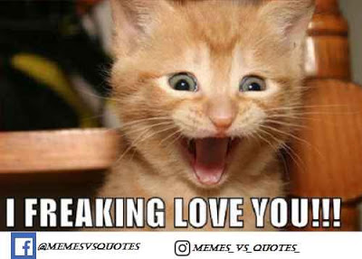 I Freaking Love You I Love You Meme I Freaking Love You I Love You Meme