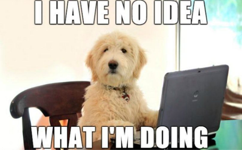 I Have No Idea Dog Meme I Have No Idea Dog Meme