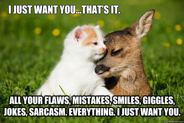 I Just Want You Love Meme I Just Want You Love Meme