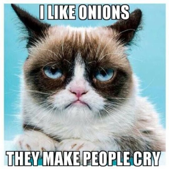 I Like Onions They Cat Meme