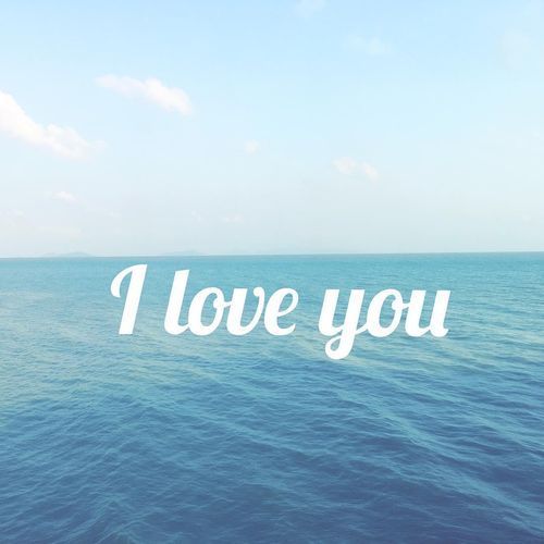 I Love You I Love You Meme I Love You I Love You Meme