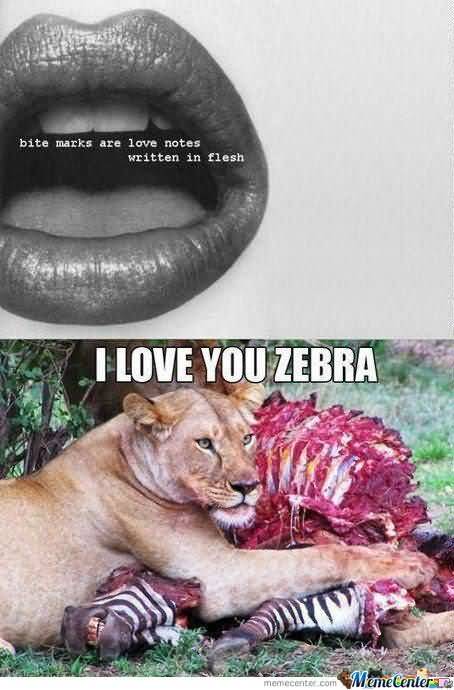 I Love You Zebra Love Meme