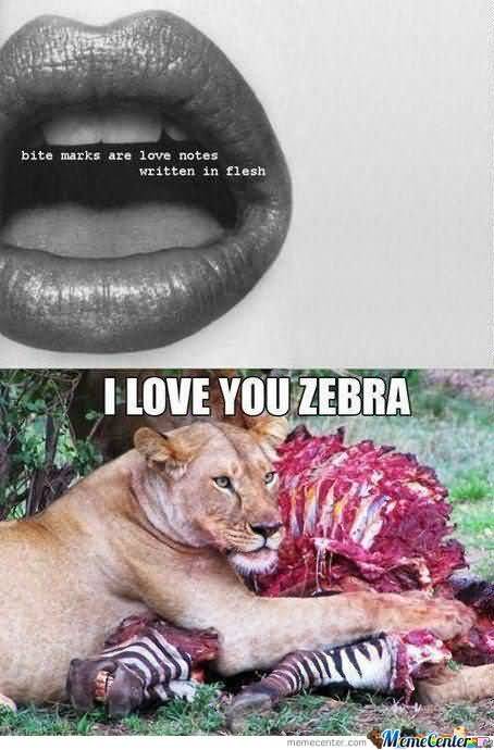 I Love You Zebra Love Meme I Love You Zebra Love Meme