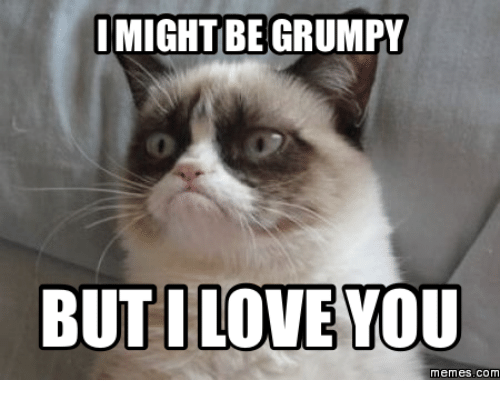 I Might Be Grumpy I Love You Meme