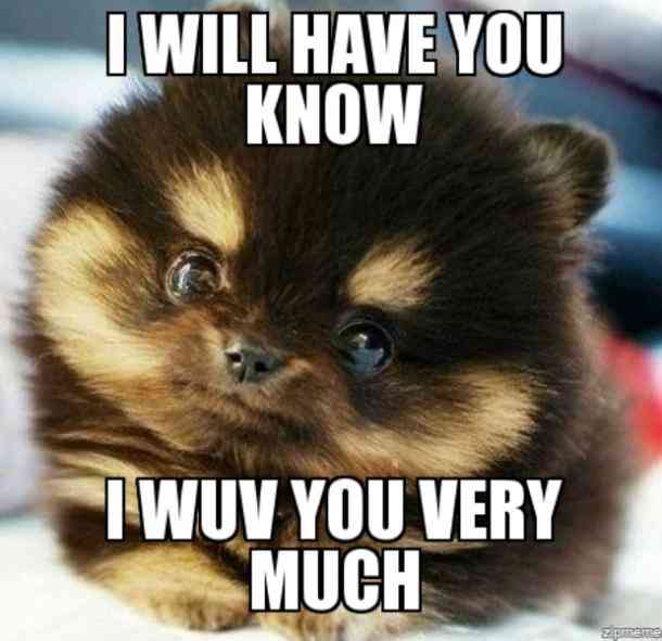 I Will Have You I Love You Meme I Will Have You I Love You Meme
