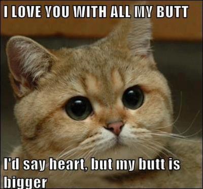 Id Say Heart But I Love You Meme Id Say Heart But I Love You Meme