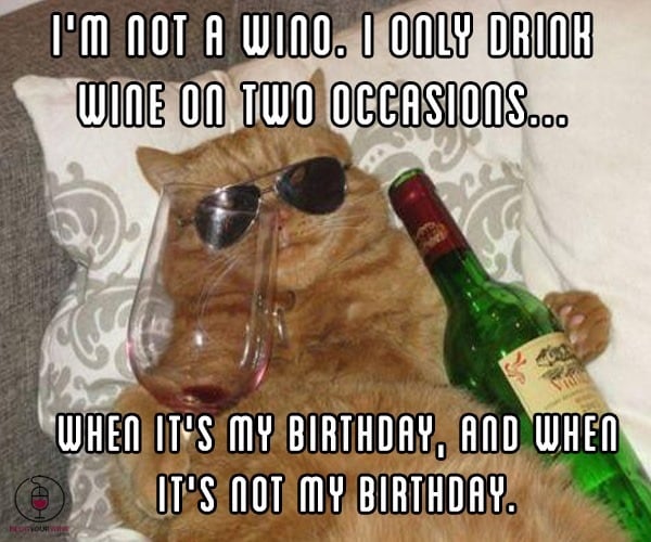 Im Not A Wino Wine Memes Im Not A Wino Wine Memes