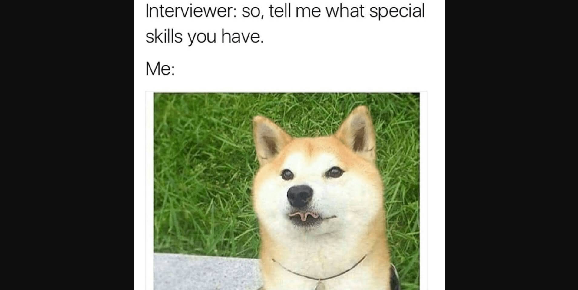 Interviewer So Tell Me Dog Meme