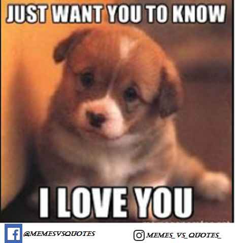 Just Want You To I Love You Meme Just Want You To I Love You Meme