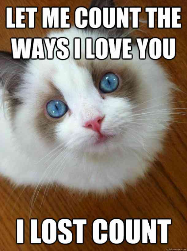 Let Me Count The I Love You Meme Let Me Count The I Love You Meme