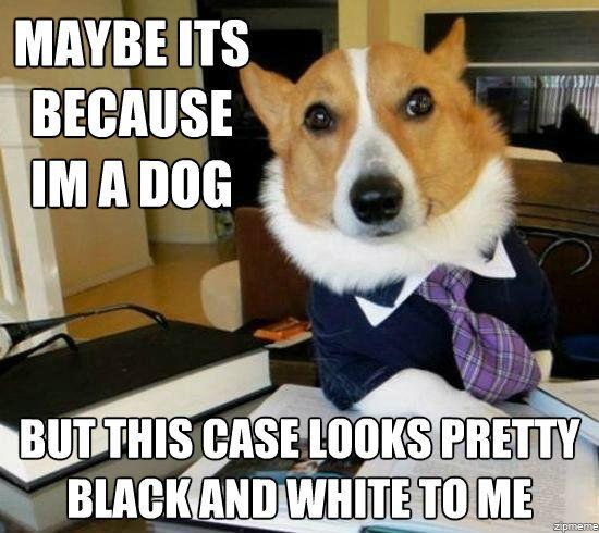 Maybe Its Because Im Dog Meme Maybe Its Because Im Dog Meme