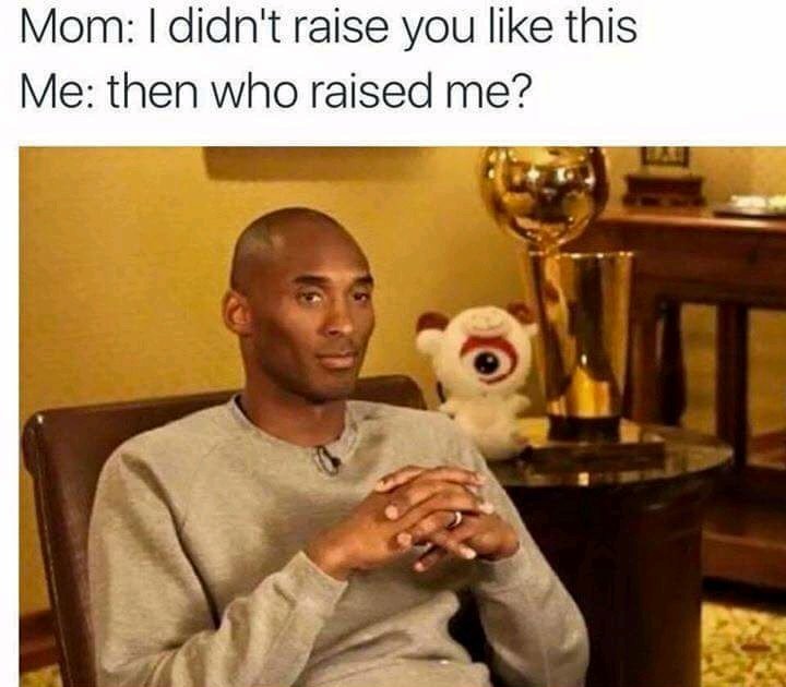 Mom I Didnt Raise Mom Meme