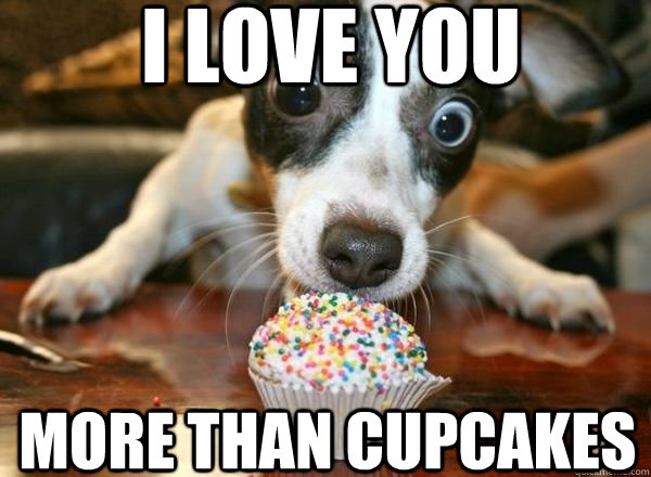 More Than Cupcakes I Love You Meme