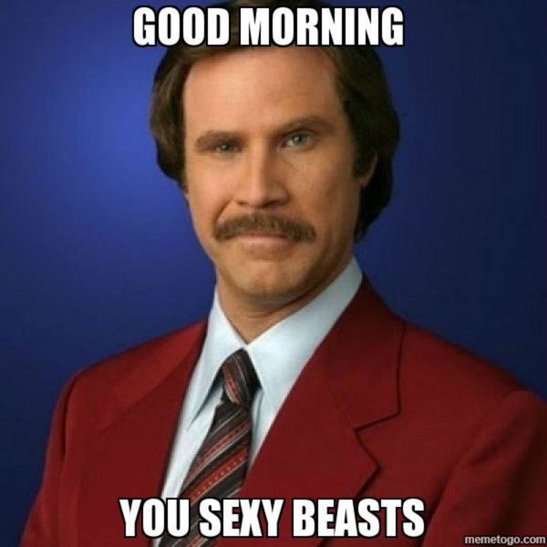 Morning You Sexy Beasts Good Morning Memes