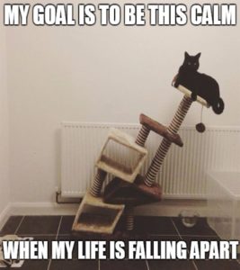 My Goal Is To Life Memes My Goal Is To Life Memes
