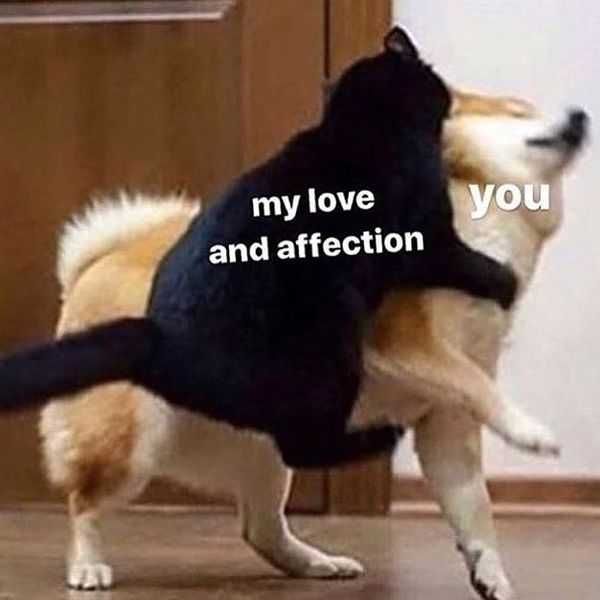 My Love And Affection I Love You Meme My Love And Affection I Love You Meme