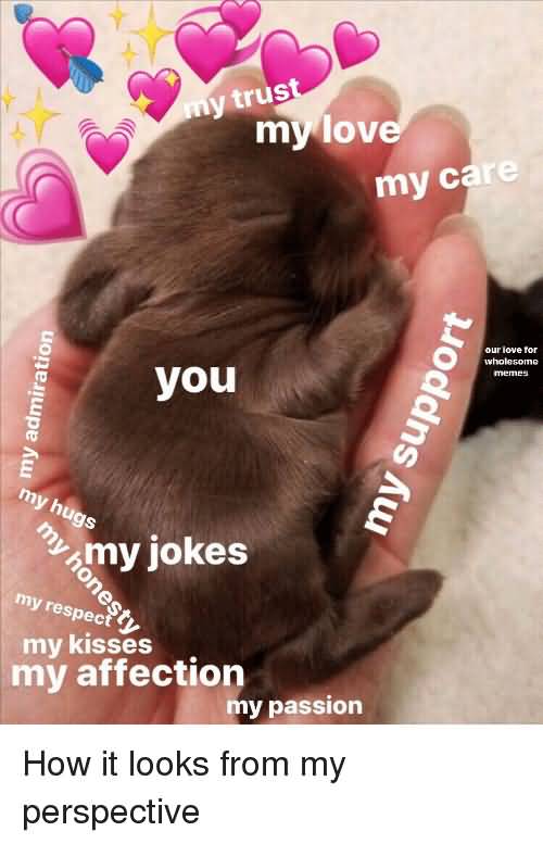 My Trust My Love Love Meme My Trust My Love Love Meme