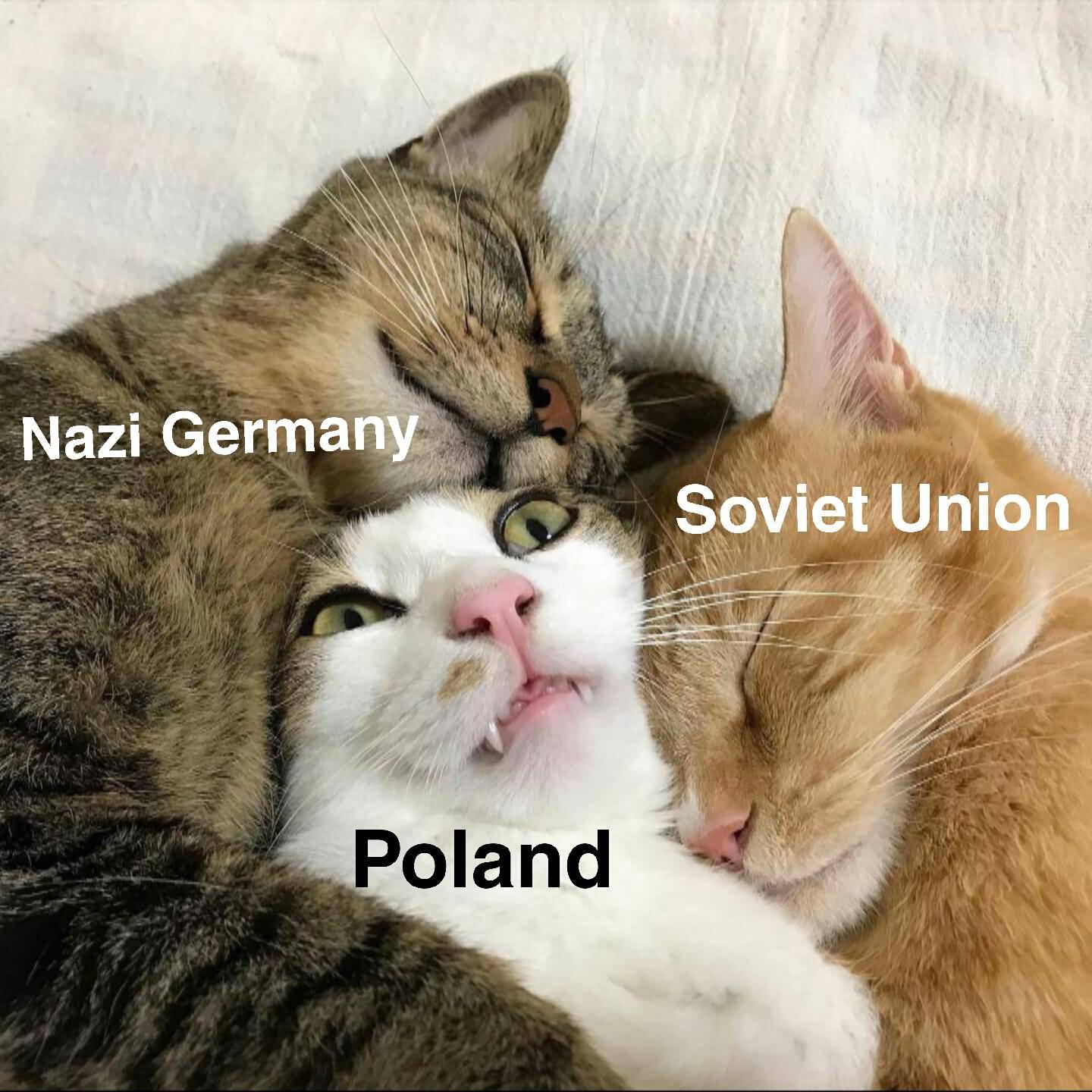 Nazi Germany Soviet Union Cat Meme