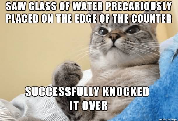 Saw Glass Of Water Cat Meme