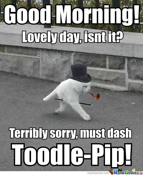 Terribaly Sorry Must Dash Good Morning Memes