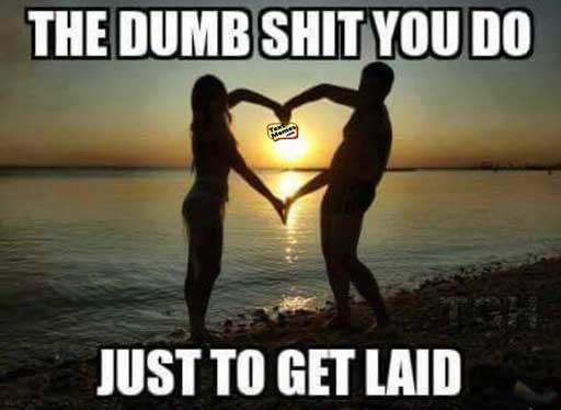 The Dumb Shit You Love Meme The Dumb Shit You Love Meme