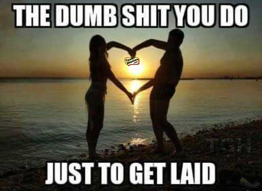 The Dumb Shit You Love Meme