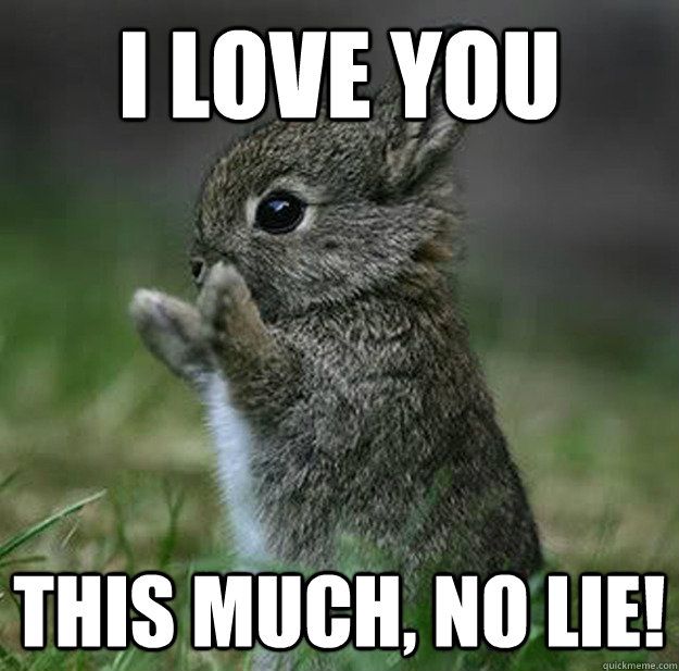 This Much No Lie Love Meme This Much No Lie Love Meme