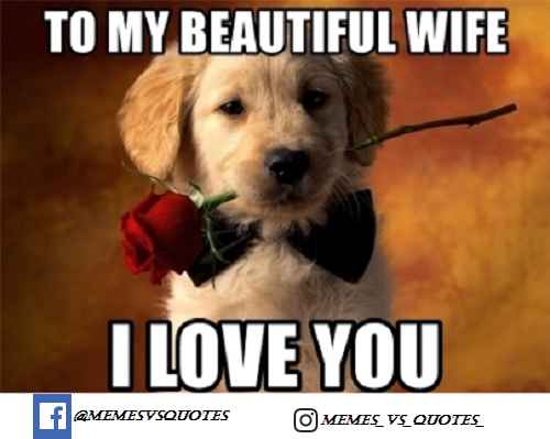 To My Beautiful Wife I Love You Meme