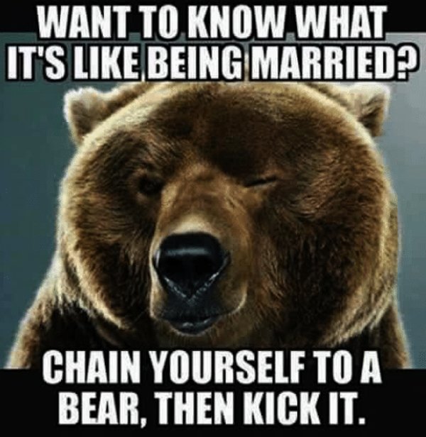 Want To Know What Life Memes Want To Know What Life Memes