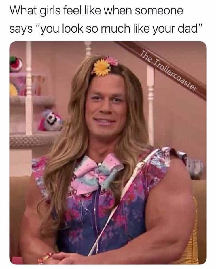 What Girls Feel Like Dad Meme
