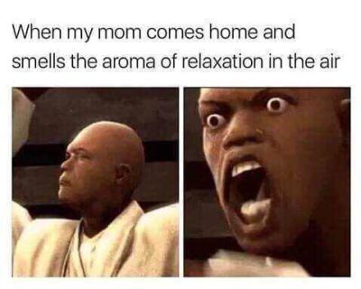 When My Mom Comes Mom Meme