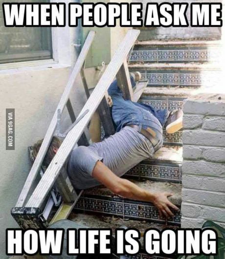 When People Ask Me Life Memes When People Ask Me Life Memes