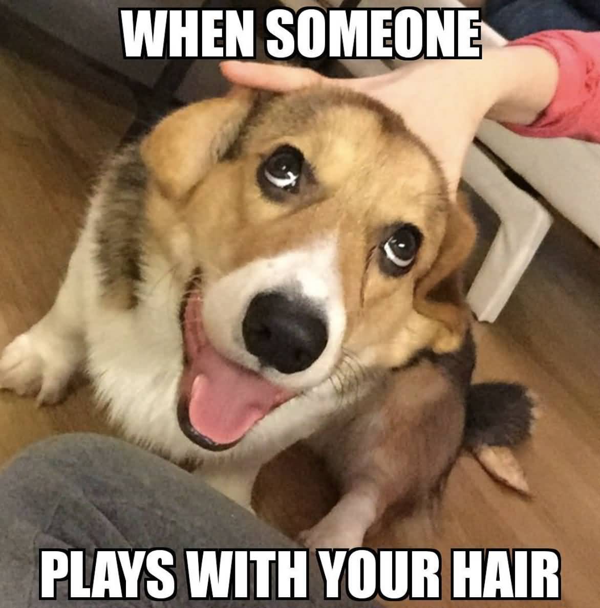 When Someone Plays With Dog Meme