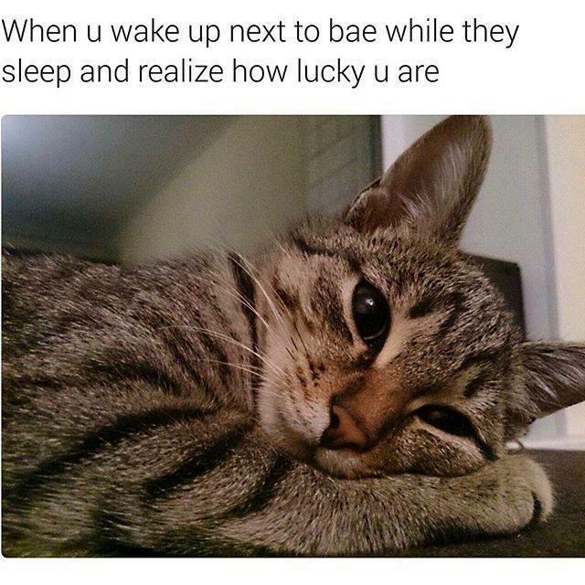 When U Wake Up Love Meme When U Wake Up Love Meme