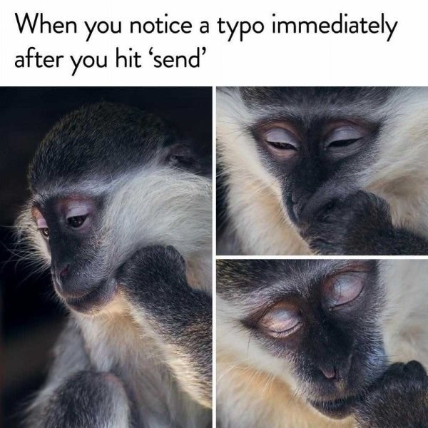 When You Notice A Typo Life Memes When You Notice A Typo Life Memes