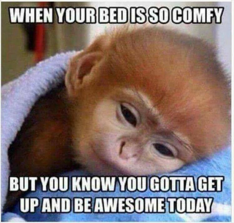 When Your Bed Is Good Morning Memes