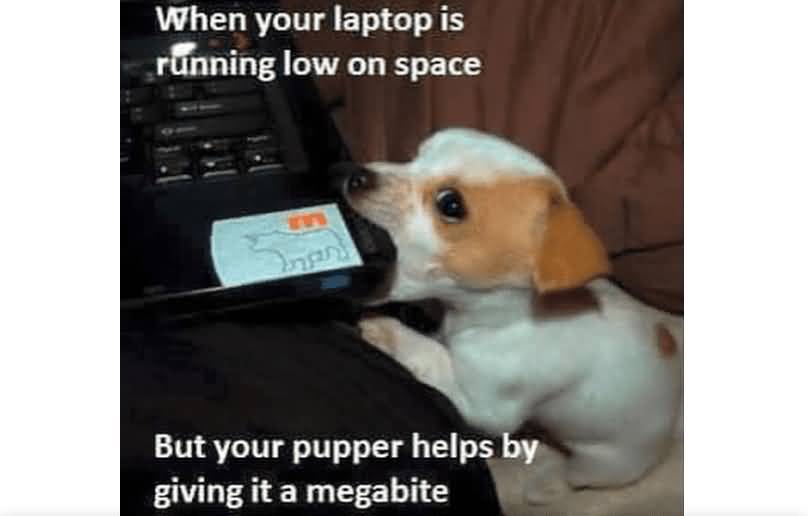 When Your Laptop Is Running Dog Meme