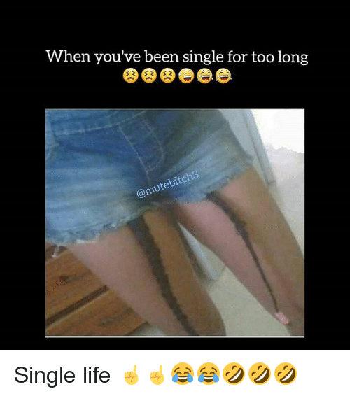 When Youve Been Single Life Memes When Youve Been Single Life Memes