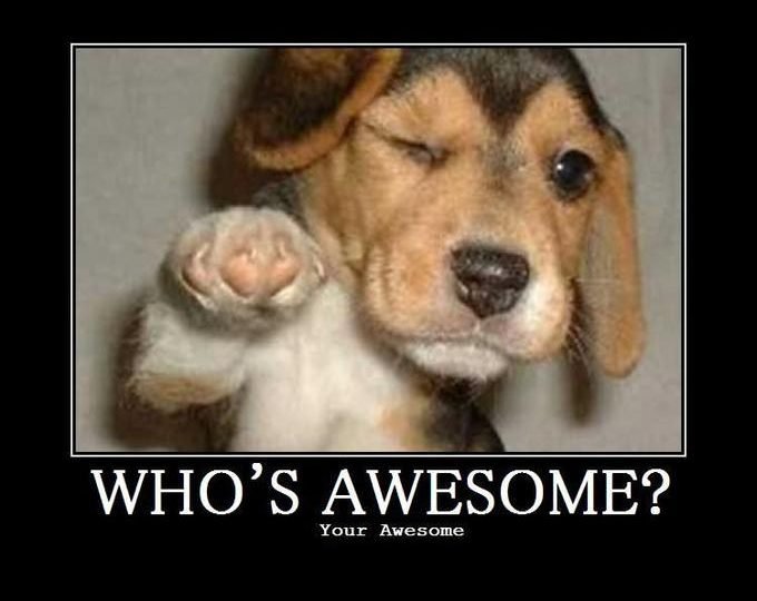 Whos Awesome Your Awesome Dog Meme