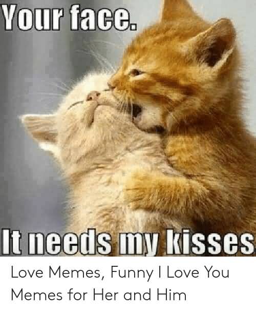 Your Face It Needs I Love You Meme Your Face It Needs I Love You Meme