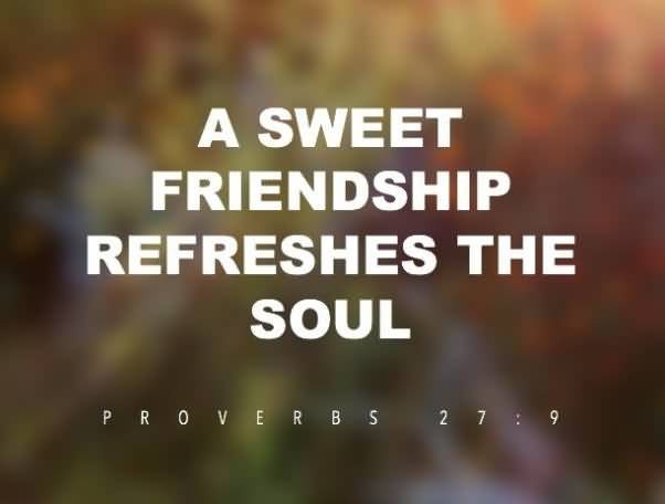 A Sweet Friendship Refreshes The Friendship Quotes