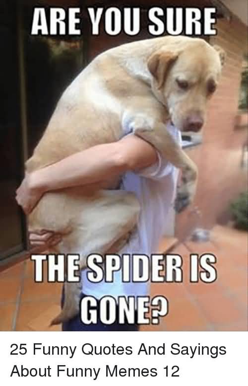 Are You Sure The Funny Quotes Are You Sure The Funny Quotes