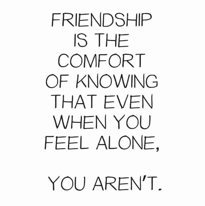 Friendship Is The Comfort Friendship Quotes